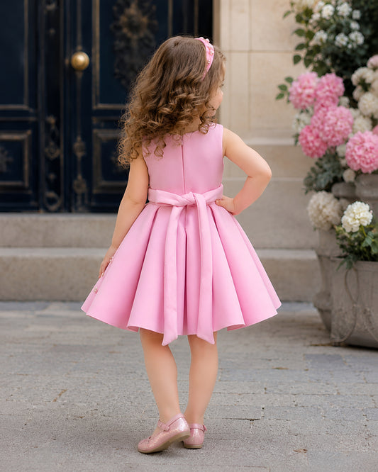 Charming Butterfly Embroidery Pink Flared Dress