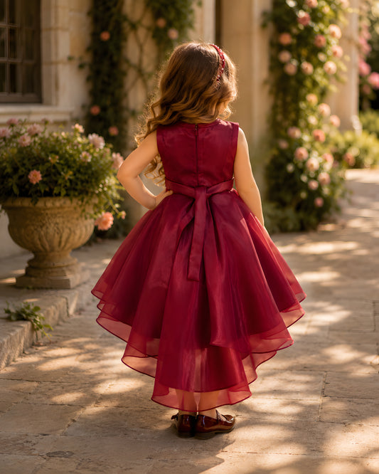 Shimmering Glass Tissue Pearl detailing Maroon High Low Gown Dress