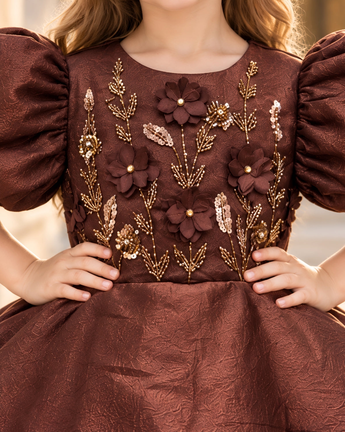 Embroidered Puff Sleeve Brown Party Dress