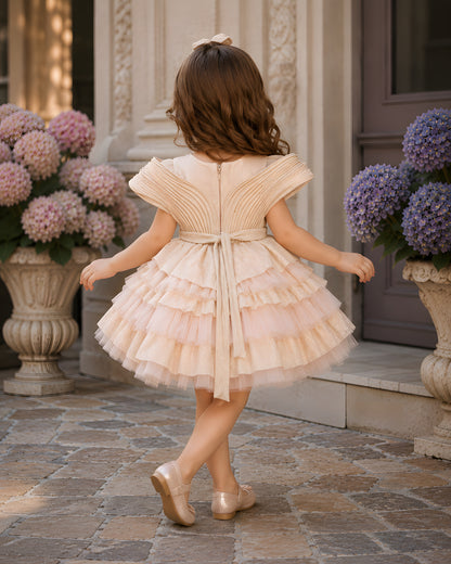 Charming Net Frills layered silhouette Peach Dress
