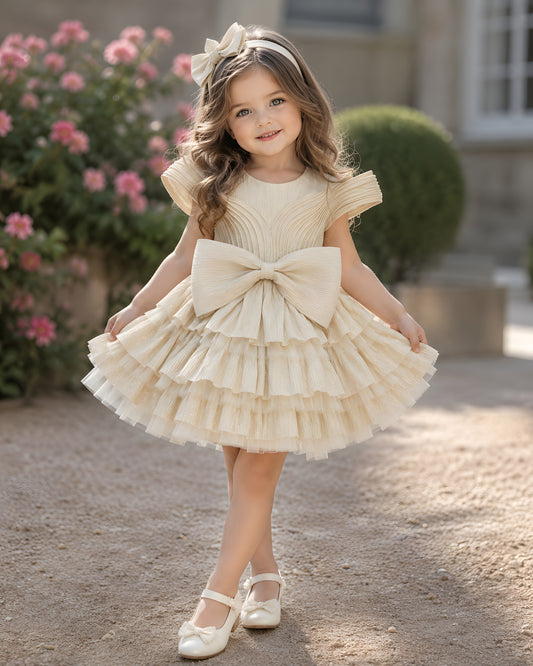 Charming Net Frills Layered Silhouette Cream Dress