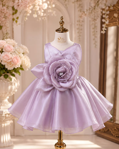 Charming Net Frills Layered Silhouette Pink Dress