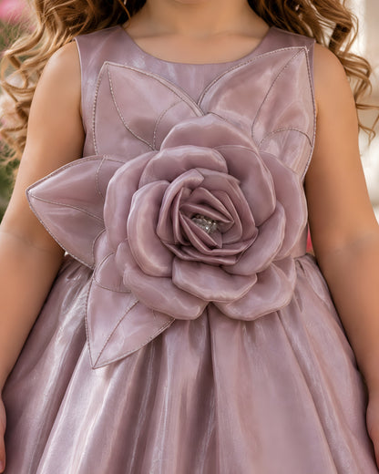 Elegant Satin Asymmetric Bow Brown Dress