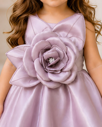Charming Net Frills Layered Silhouette Pink Dress