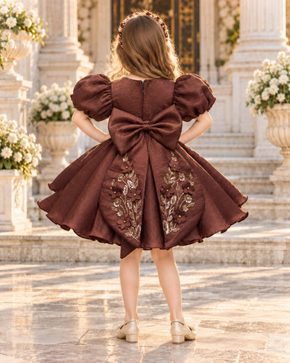 Embroidered Puff Sleeve Brown Party Dress