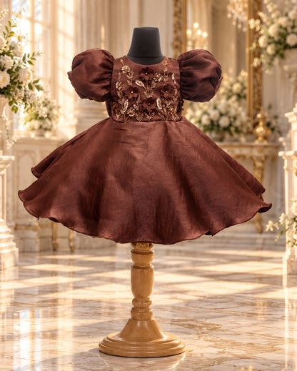 Embroidered Puff Sleeve Brown Party Dress