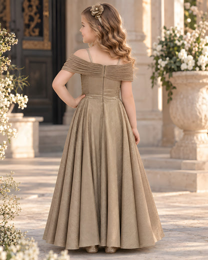 Beautiful Off shoulder Silhouette Party Beige Gown