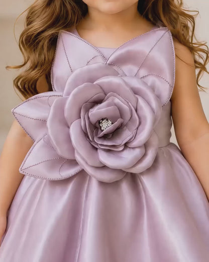 Charming Net Frills Layered Silhouette Pink Dress