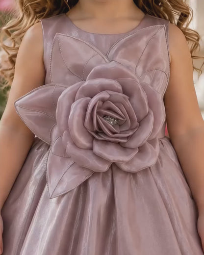 Elegant Satin Asymmetric Bow Brown Dress